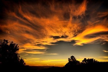 Obituary of Barbara Jean Browning