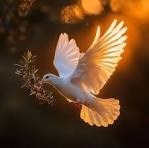 Obituario de Robert Earl Biggs