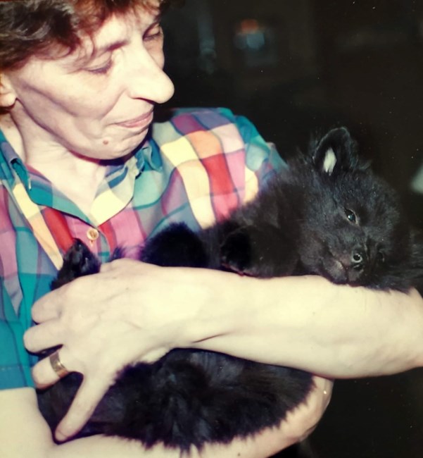 Obituary of Mrs. Nadia Grillo