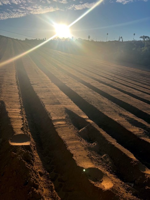 Obituary of Jose M Rodriguez