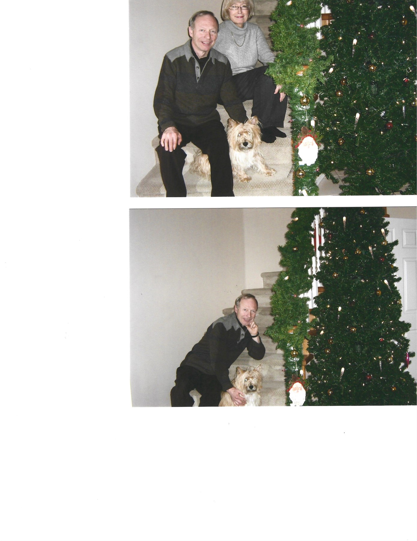 Obituary of Ross James Magneison