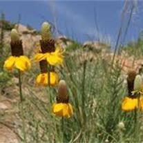 Obituary of Gregory G. Hileman