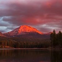 Obituary of Forrest Richard VanArsdall