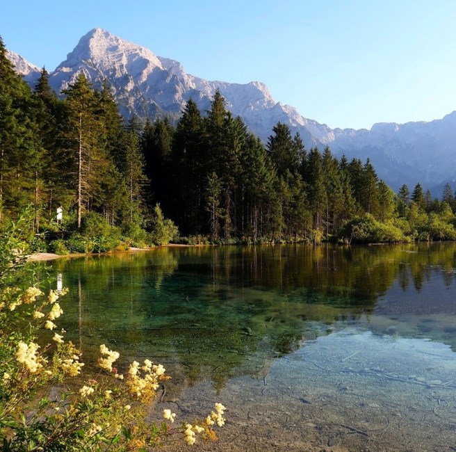 Avis de décès de Shawn Patrick Fennelly