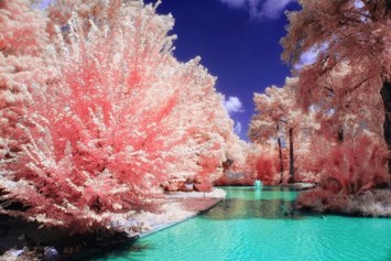 Obituario de Trinidad Miguelino Nazareno