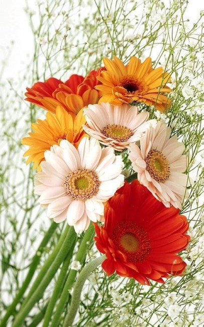 Obituary of Lesly Joan King