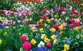 Obituary of Marilyn T Brady