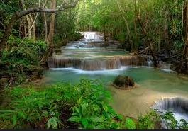 Obituary of Patrick Donald Eppers