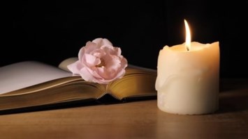 Obituary of Aleida Romero