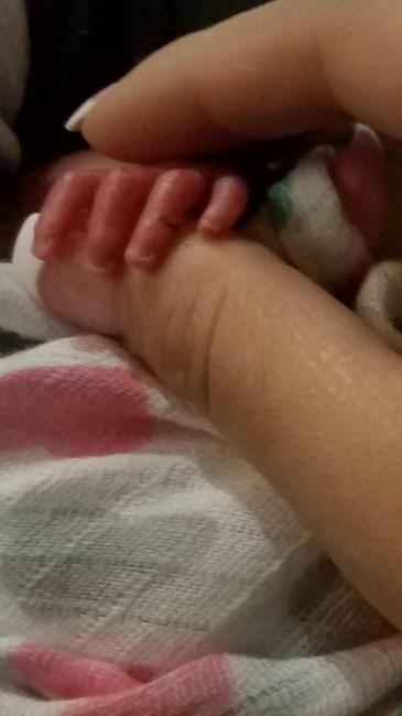 Obituary of Quinn Rose Martinez