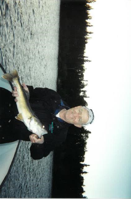 Obituary of Harold E. Nelson