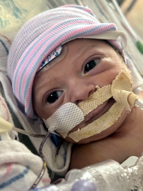 Obituary of Xavier Covarrubias