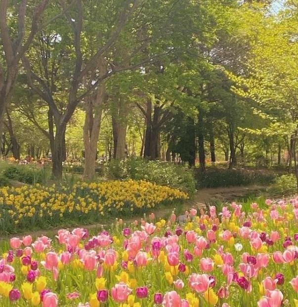 Obituary of Maria Elena Mange