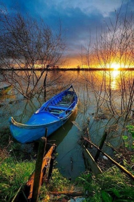 Obituary of William Brian PETERSON