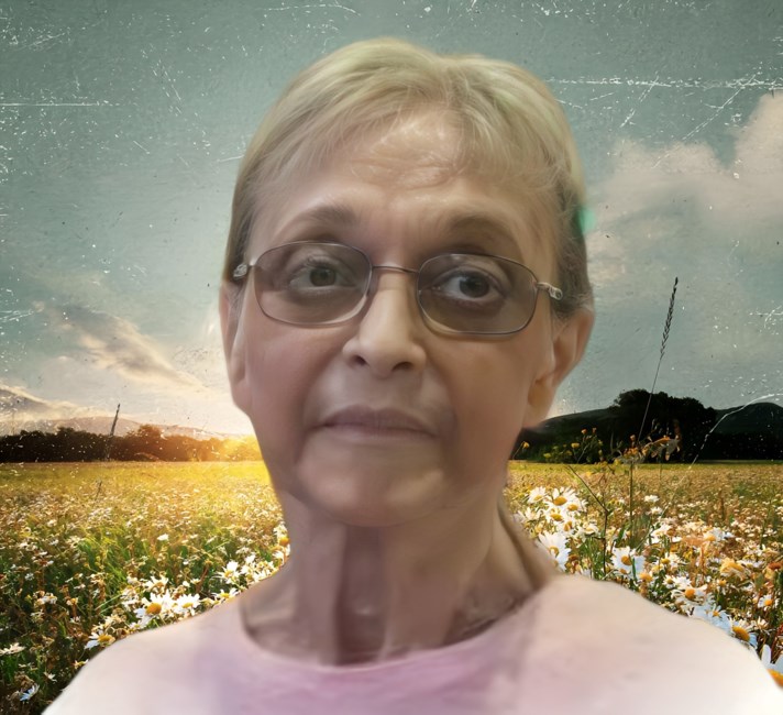 Obituary of Judith Kay Proietti