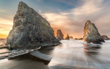 Obituary of Frances Kergil