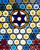 Obituary of Ann Kaplan