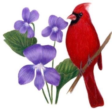 Obituary of Verna Brawner
