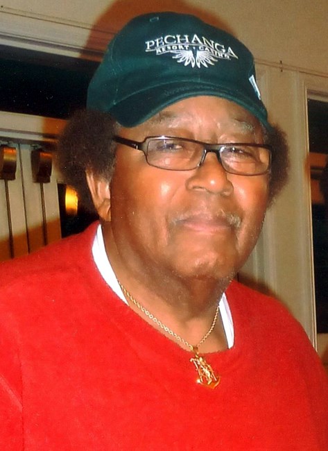 Obituary of Robert Lee Irving Jr.