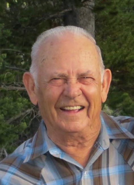 Obituary of Lonnie R Roby