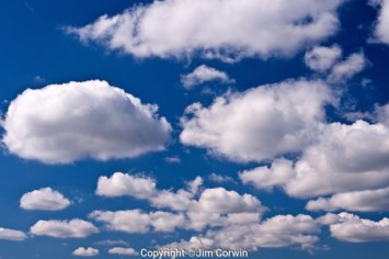 Obituary of John Leo Born