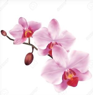 Obituary of Marie Christine Bauer