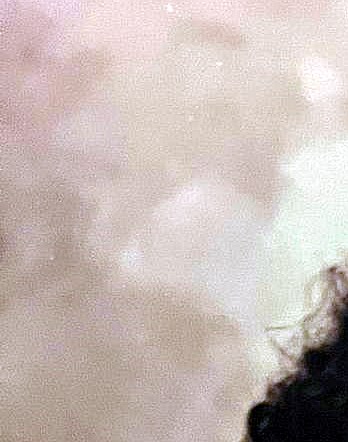 Daphne Ruffner Obituary - Arlington, VA