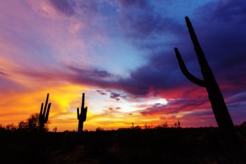 Obituary of Edwin Fredrick Williams