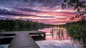 Obituary of Dennis Lee Richardson