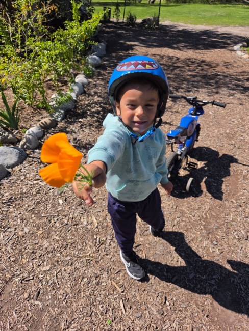 Obituary of Roger Marvin Lee Pendergrass