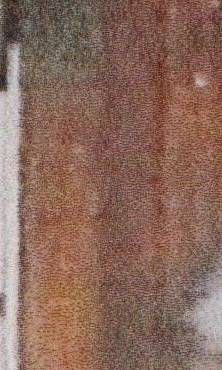 Ivy "Irish" E. Starke Obituary Richmond, VA