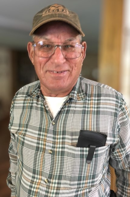 Obituary of Dominick "Sonny" James Dinecola