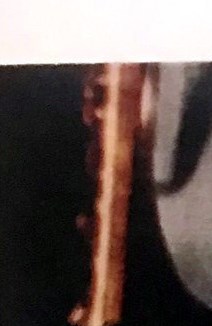Catalina Juarez Obituary Chula Vista, CA