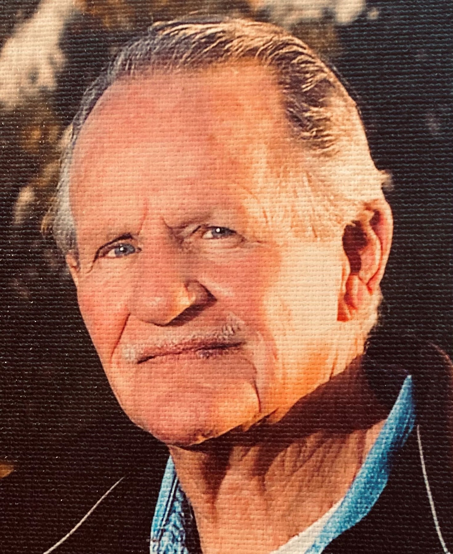 Robert Greenwald Obituary Longmont, CO