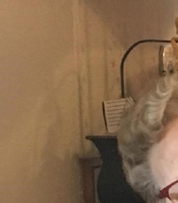 Josephine McCroy Obituary Humble, TX