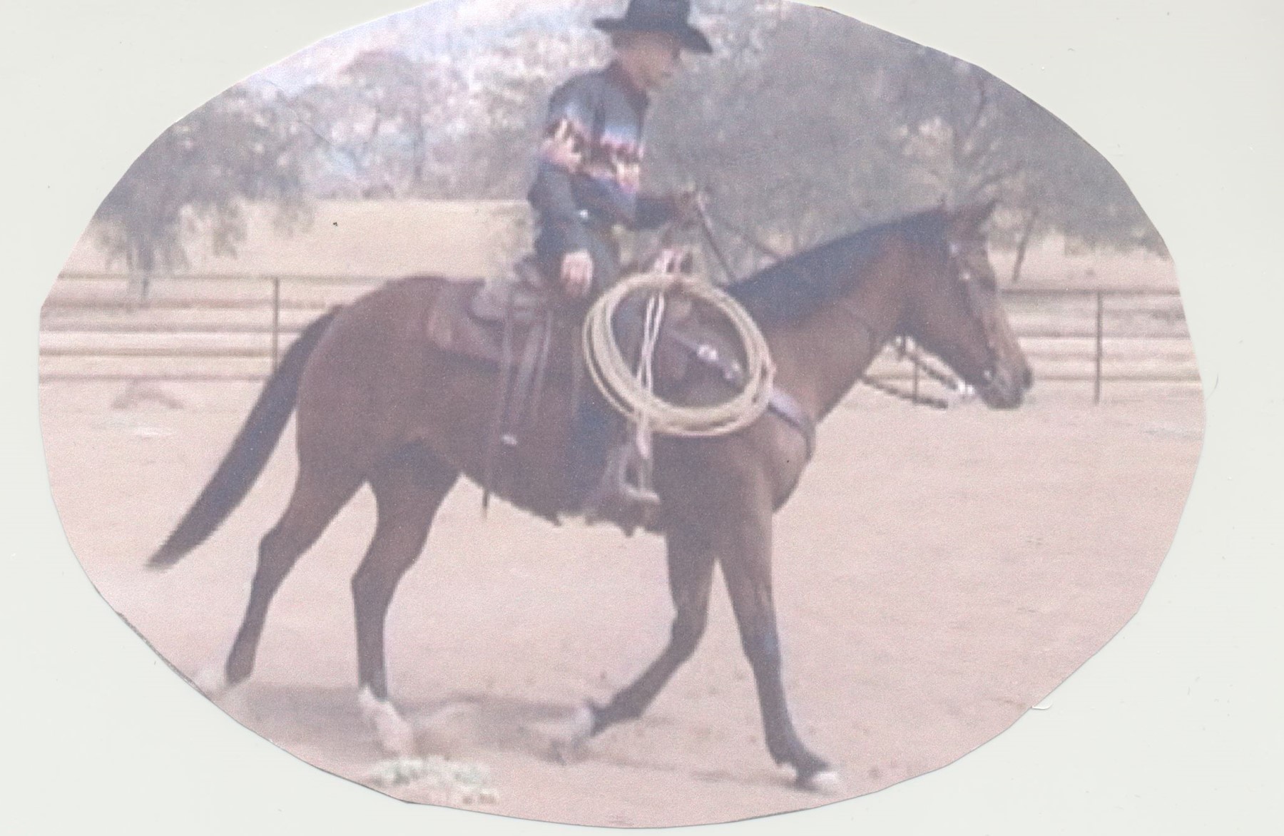 Obituary of David Thompson