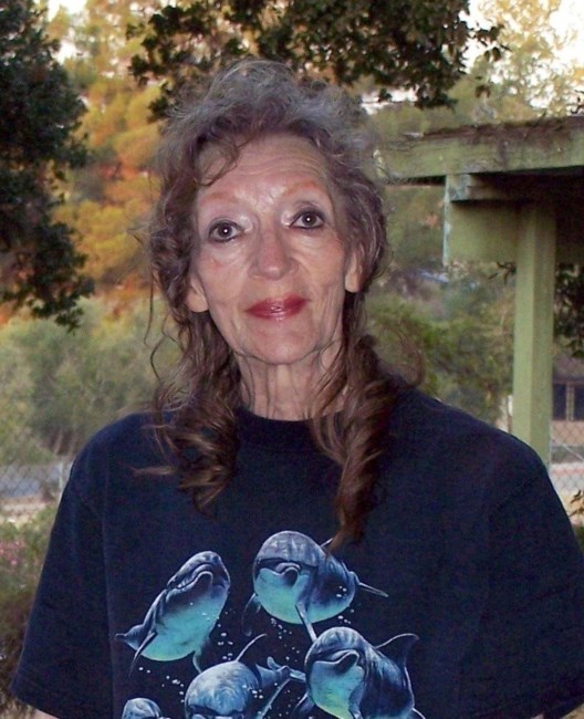 Obituary of Dyanne Elaine Tabin