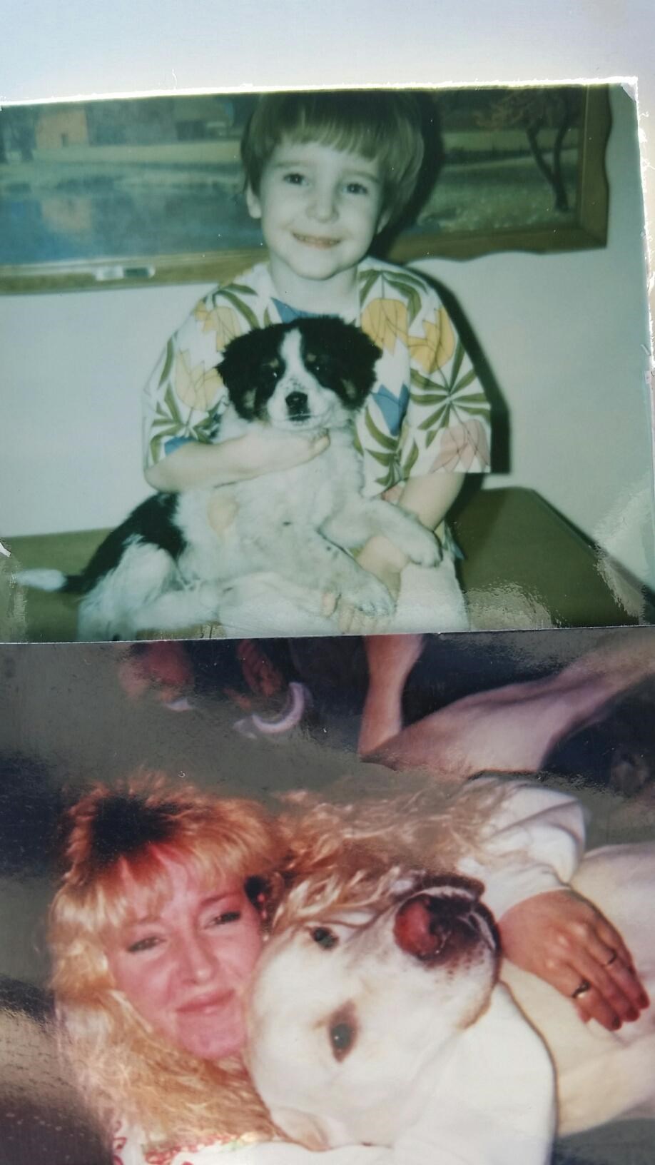 Obituary of Karen Lynne Ayres