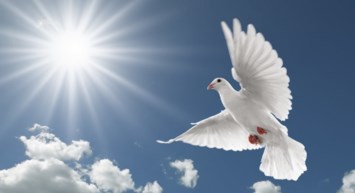 Obituary of Antonia Nieves