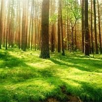 Obituary of Ernesto L. Perez