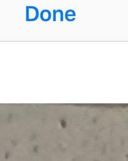 Brenda Halk Obituary Dallas, NC