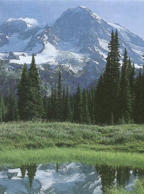 Obituary of Steven James Shields