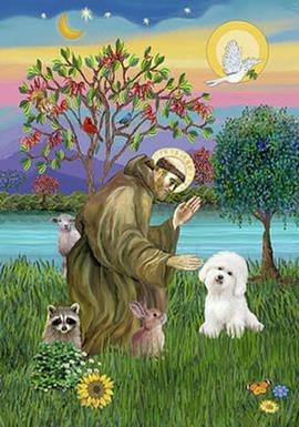 Obituary of Rita A. Mistretta