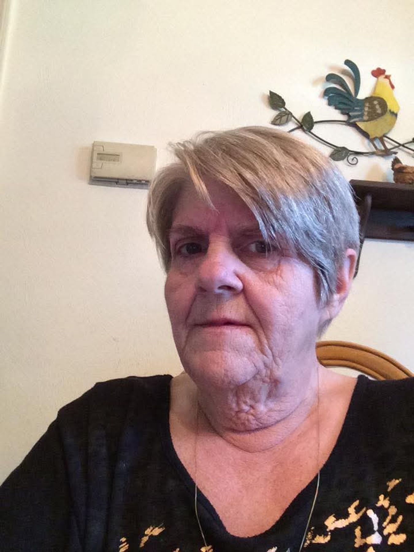 Obituary of Judy Carolyn Mitchell