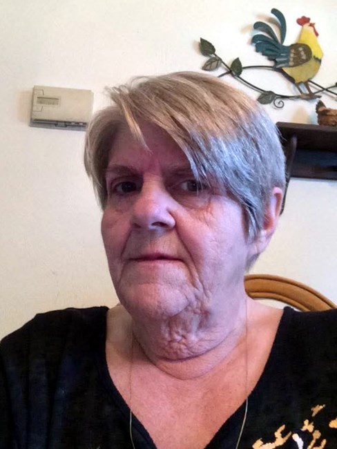 Obituary of Judy Carolyn Mitchell