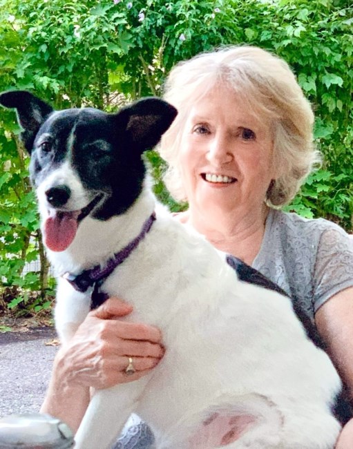 Marcy O'Brien Obituary Suffern, NY