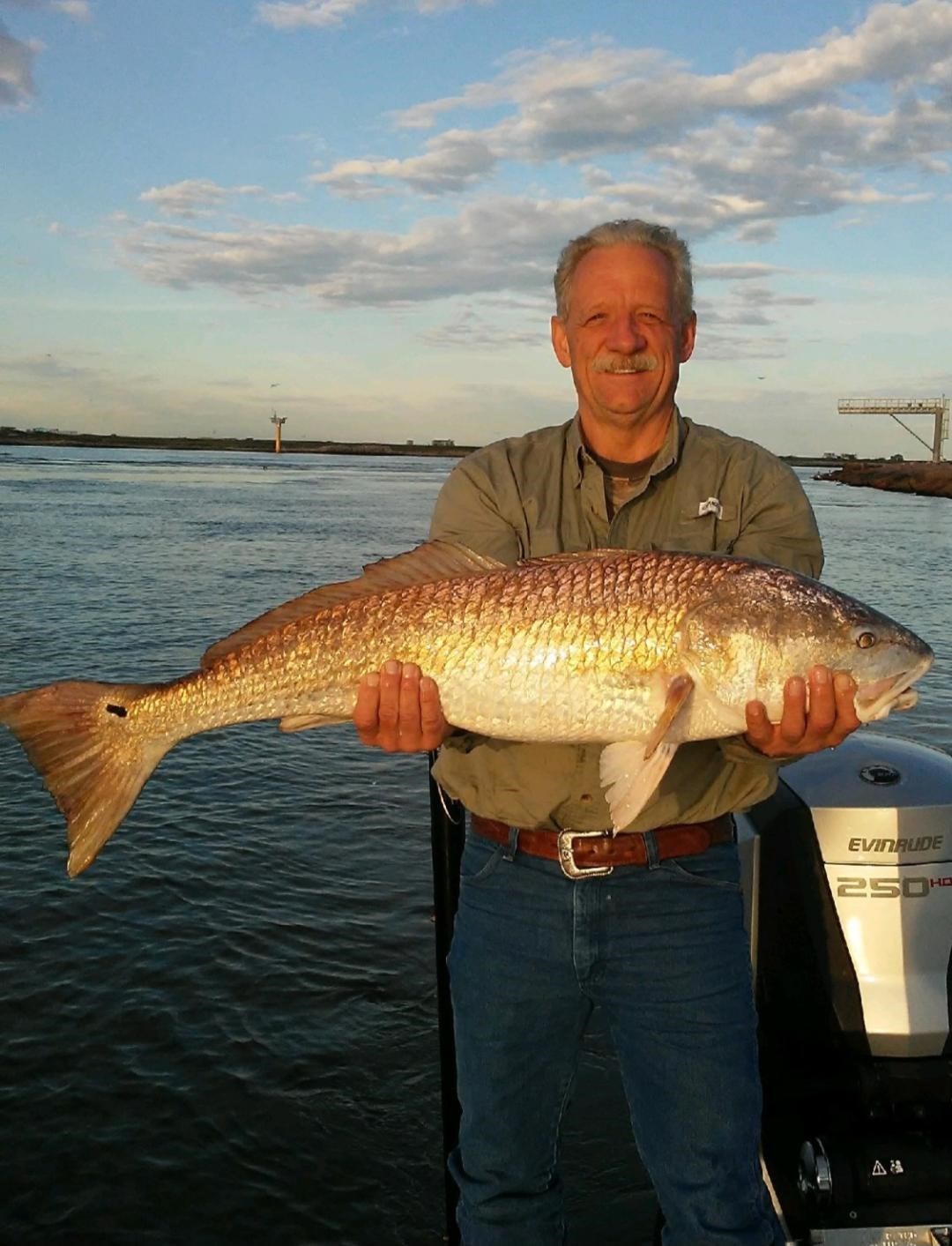 William Schindler avis de décès Austin, TX