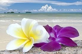 Obituary of Bette A. Leonardi