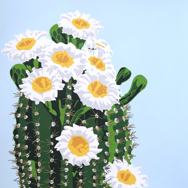 Obituary of Beth D. Clark