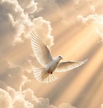 Obituary of Jose de la Luz Luna Vela